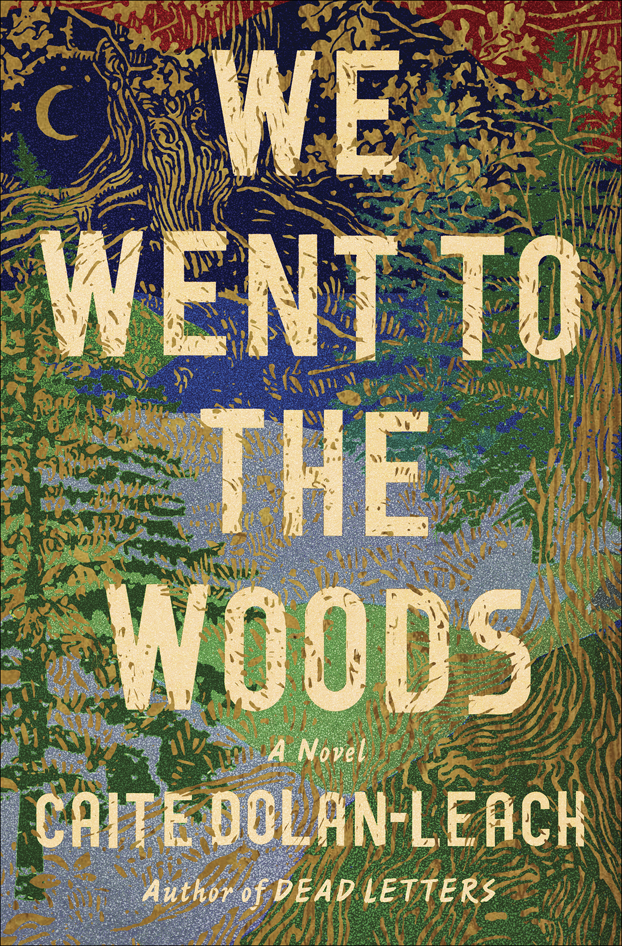 We Went to the Woods by Caite Dolan-Leach - Curtis Brown